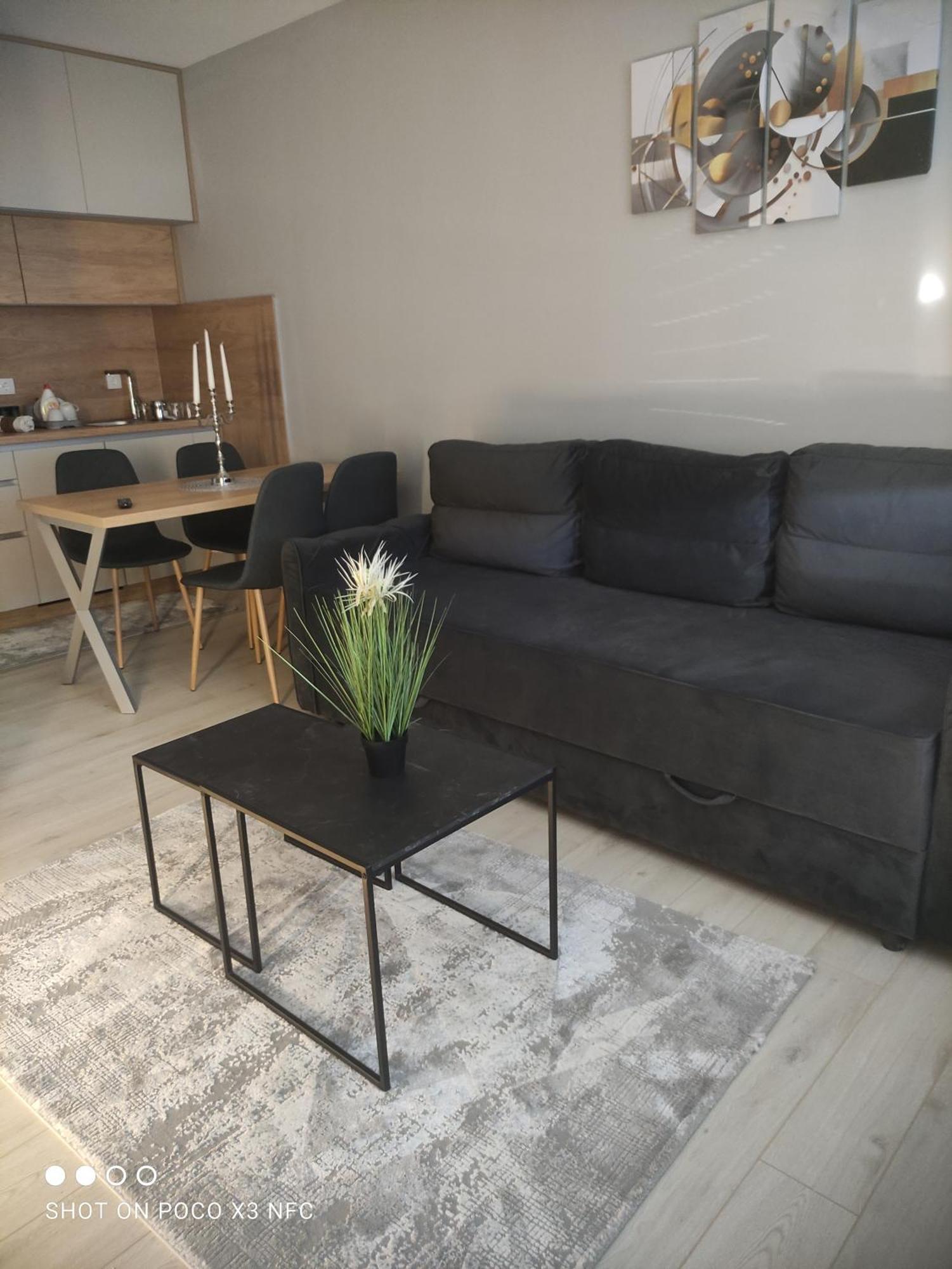 Apartment Lux *